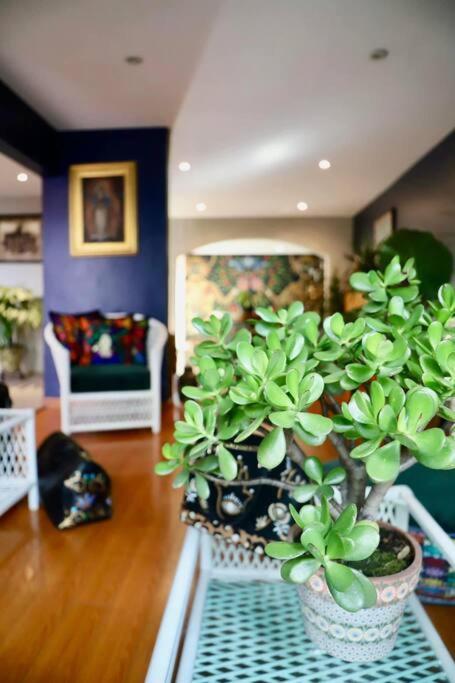 Luxurious Mid Century Modern Folk Art Home Μεξικό Εξωτερικό φωτογραφία